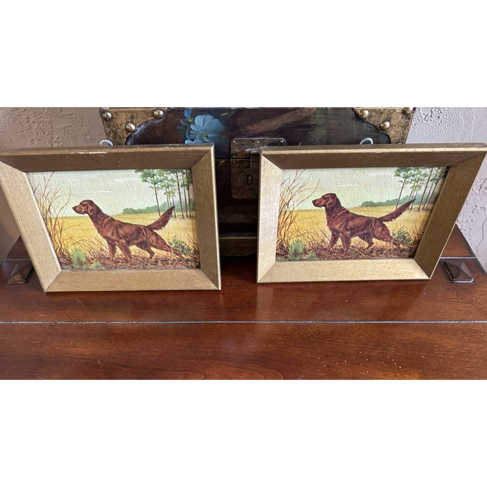 Vintage Irish Setter Dog Prints - Pair of 8.5x7" Gold Wood Framed Sheffield Art - Picture 2 of 6